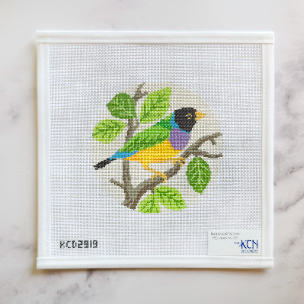 Gouldrian Finch