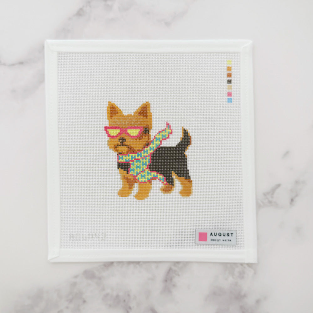 Bougie Yorkie