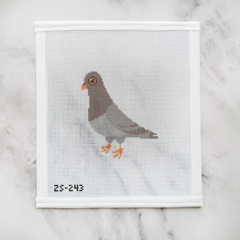 NYC Pigeon